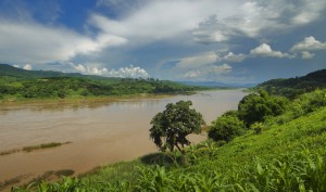 Mekong river edna